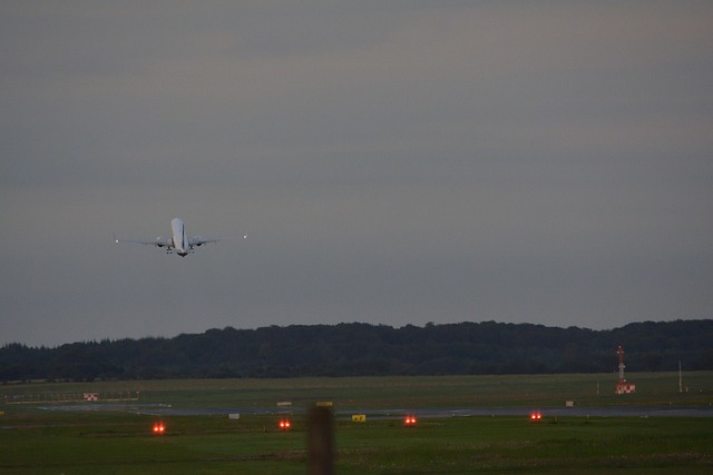 Free Fly Aviation photo and picture