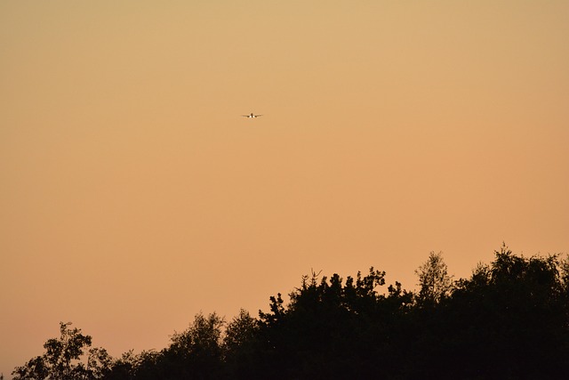 Free Fly Aviation photo and picture