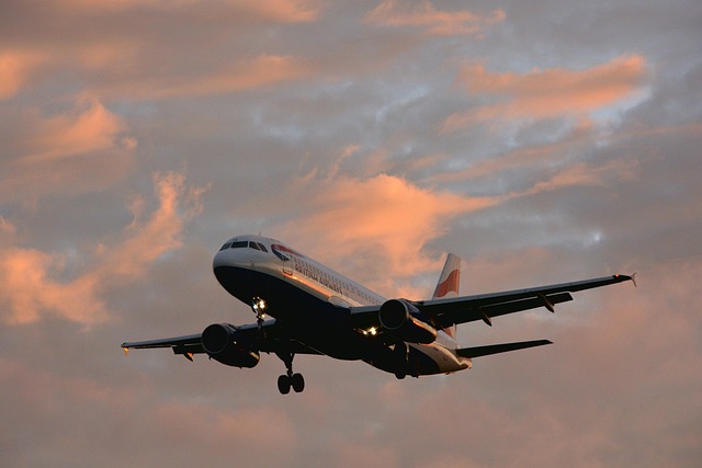 Free Fly Aviation photo and picture