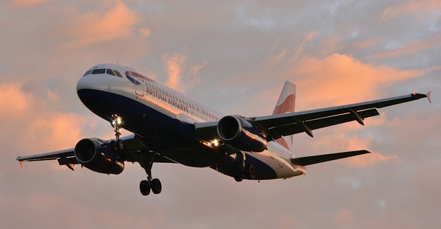Free Fly Aviation photo and picture