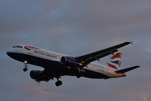 Free Fly Aviation photo and picture