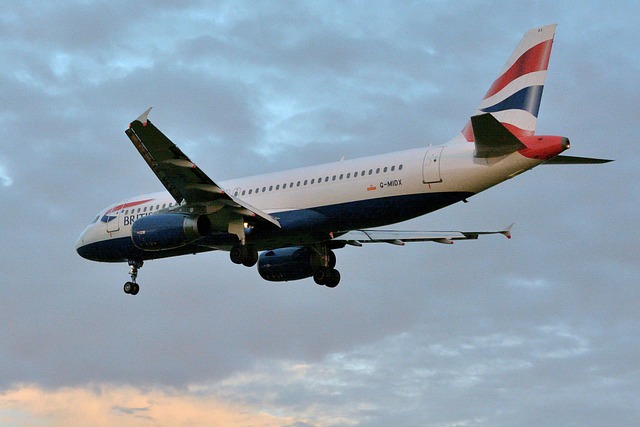 Free Fly Aviation photo and picture