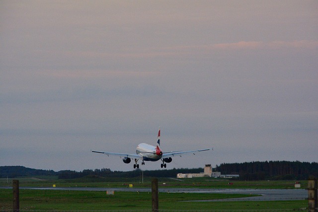 Free Fly Aviation photo and picture