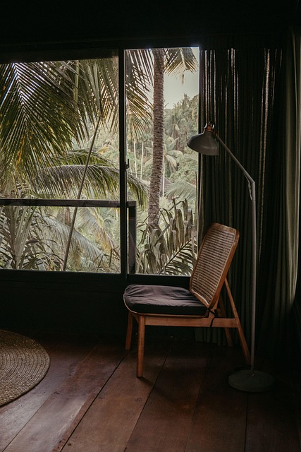 Free Jungle Window Alone Window photo and picture