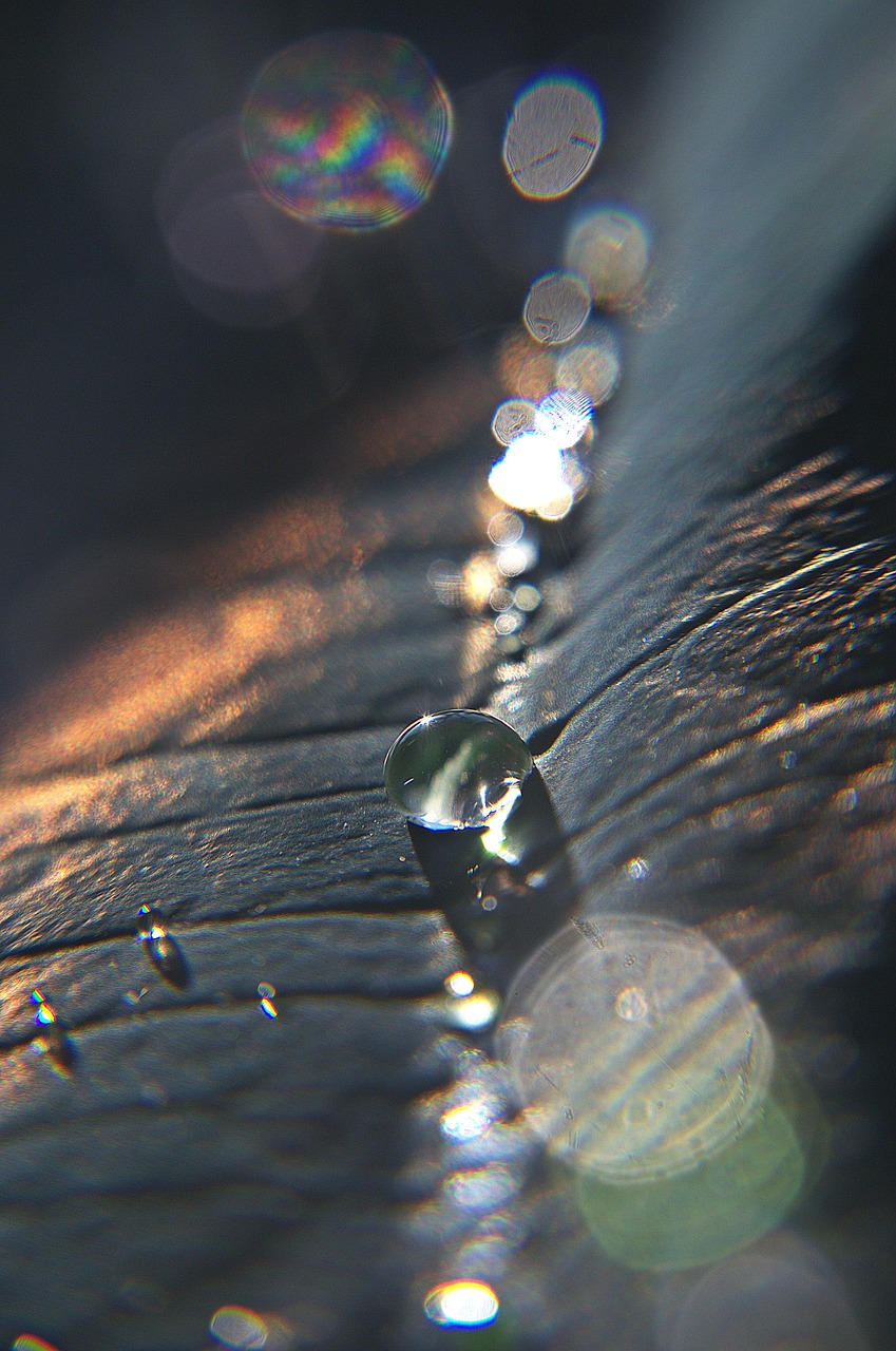 自然 一滴 露 - Pixabay上的免费照片 - Pixabay
