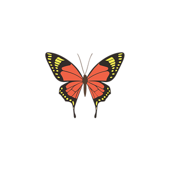 Free Butterfly Vintage illustration and picture