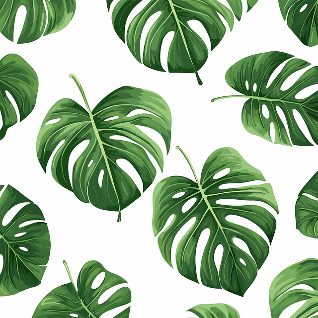 6000 多张免费的“龟背竹 植物 Svg”和“Svg”矢量图 - Pixabay