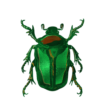 Free Ai Generated Beetle illustration and picture