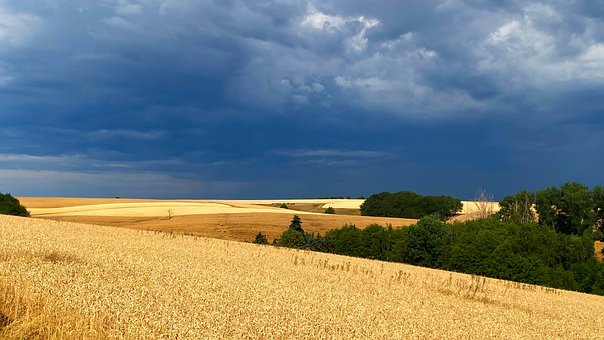 Paisaje, Campo, Naturaleza, Nube, Oscuro