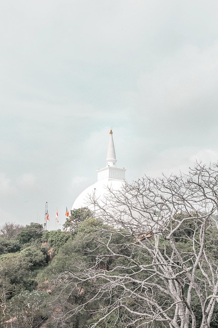 Anuradhapura, Ruwanwelisaya, Colombe