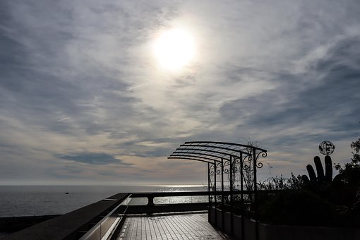 Free Park Morning photo and picture