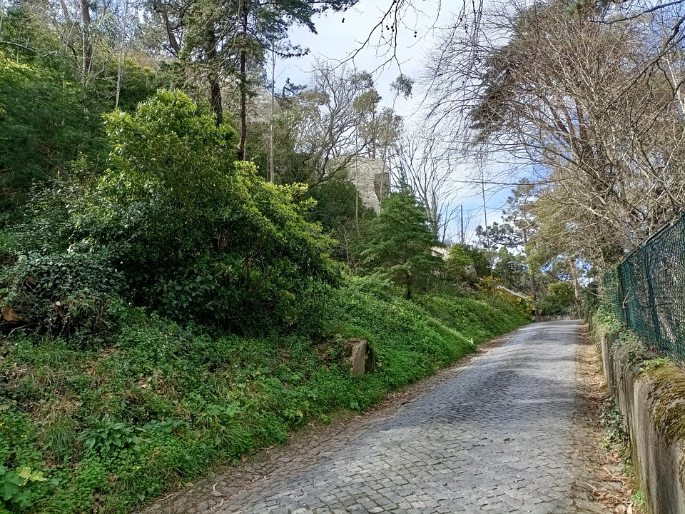 La Nature Panorama Sentier Chemin - Photo gratuite sur Pixabay - Pixabay
