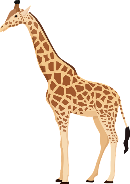 Free giraffe animal nature vector