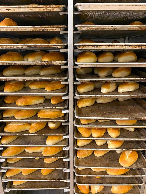 Free Bread Biscuit photo and picture