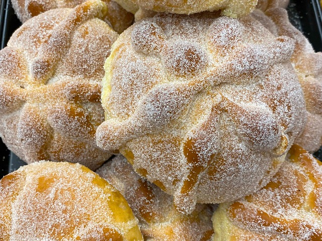 Free Bread Biscuit photo and picture
