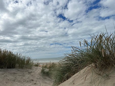 Free Beach Ocean photo and picture