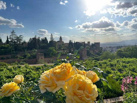 Free Alhambra Granada photo and picture