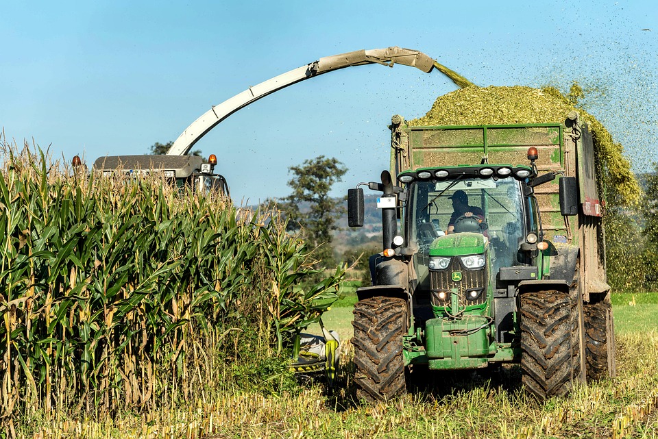 Corn Harvest Cornfield - Free photo on Pixabay