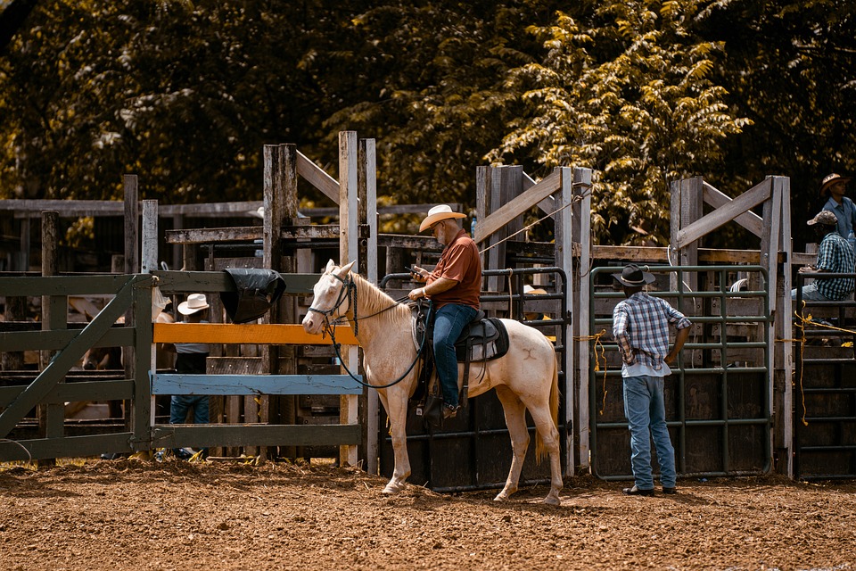 Horse Rider Rodeo Horse Rider Rodeo - Free photo on Pixabay