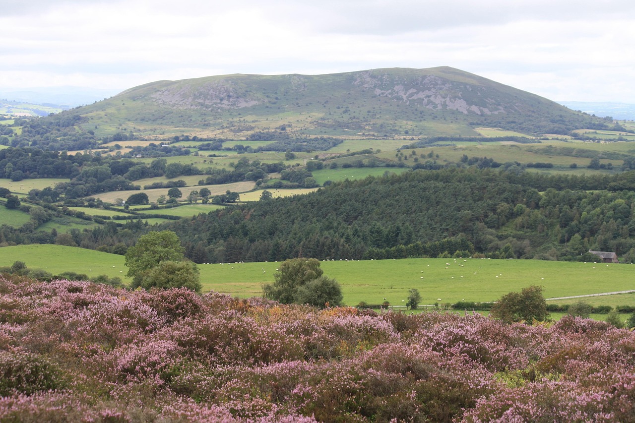Hilly Rural Rural Scenic Hill - Free photo on Pixabay - Pixabay
