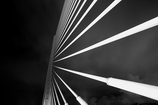 Free Bridge Suspension photo and picture