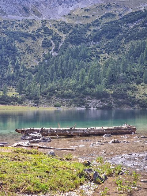 Free Lake Landscape photo and picture