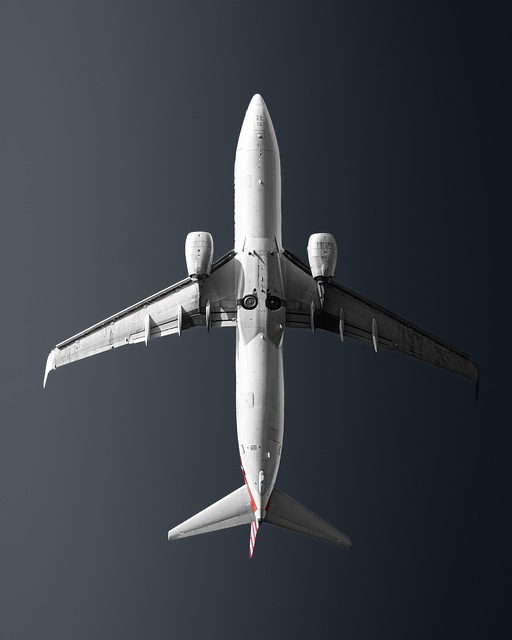 Free Flight Airplane photo and picture