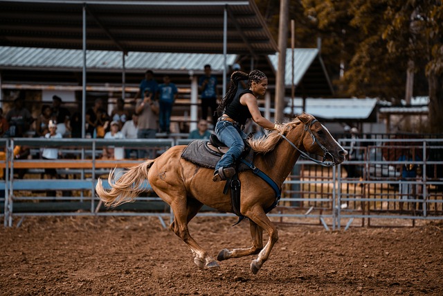 Free Horse Rider photo and picture Free Horse Rider photo and picture