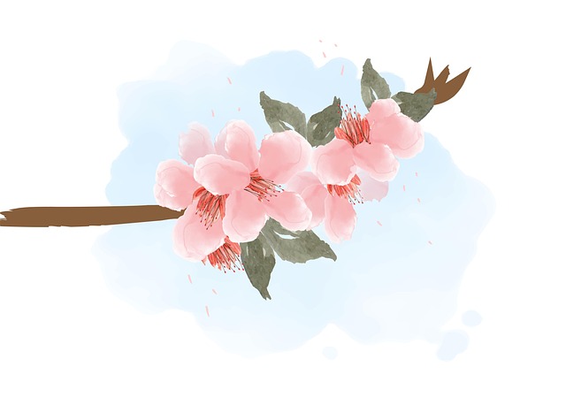 Cherry Blossom, Blomster, Maleri, Gren