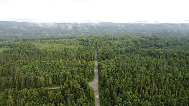 Bjerge, Skov, Vej, Natur, Landskab, Land