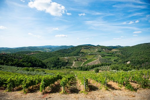 Free Wine Italy illustration and picture