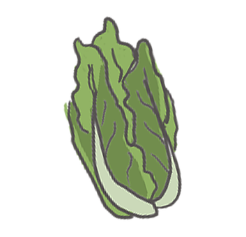 Kål, Grøn, Grøntsager, Tegneserie
