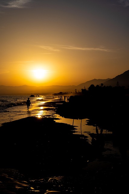 Free Beach Sunset photo and picture