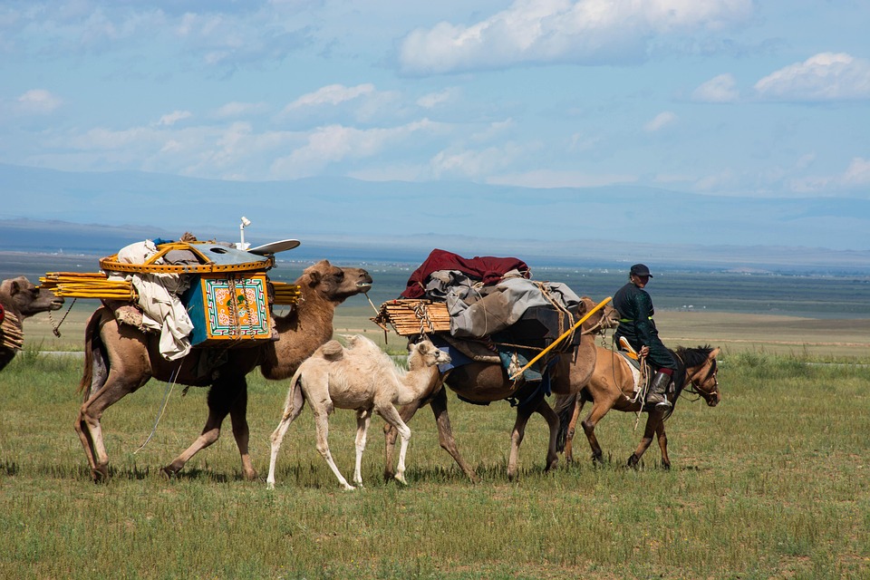 Nomad Mongolia - Free photo on Pixabay - Pixabay