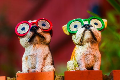 Free Dog Garden photo and picture