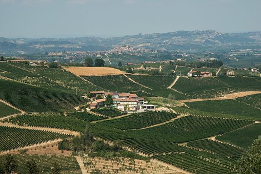Piemont, Vinařství, Vinice, Itálie