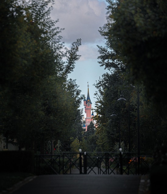 Free Chateau Disney photo and picture