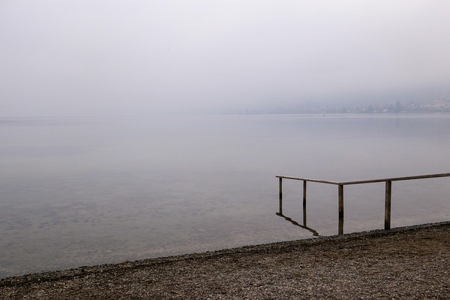 Free Lake Fog photo and picture
