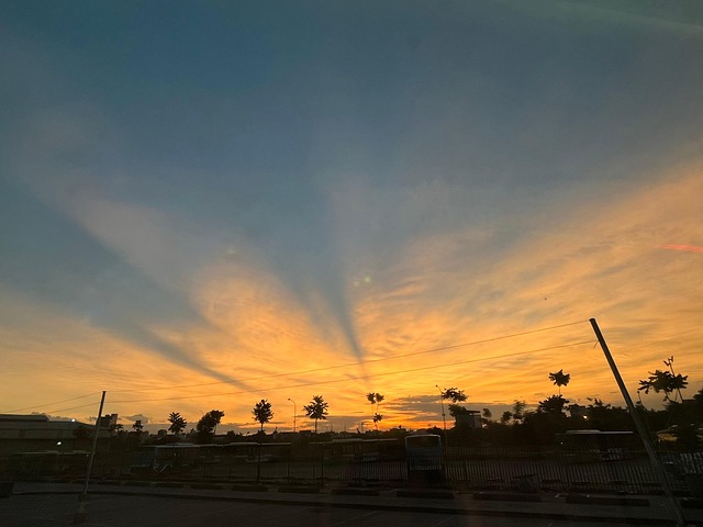 Natureza, Árvore, Bonito, Pôr Do Sol