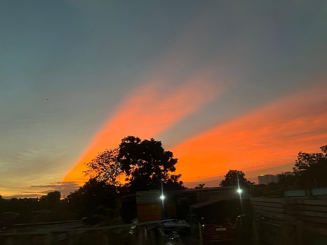 Árvore, Pôr Do Sol, Natureza, Floresta