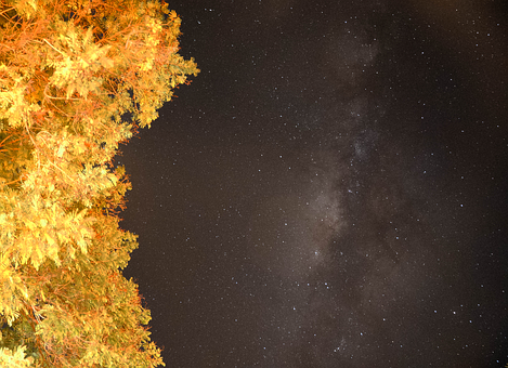 Estrela, Galáxia, Universo, Espaço, Céu