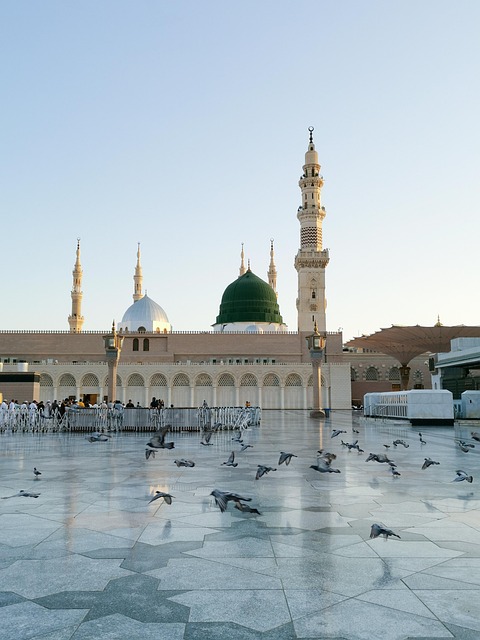 Free Medina Mosque photo and picture