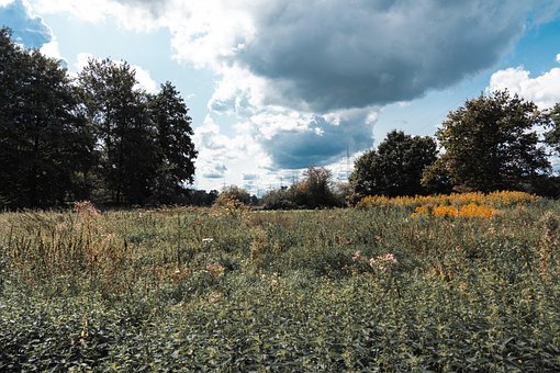 Free Clouds Pasture photo and picture