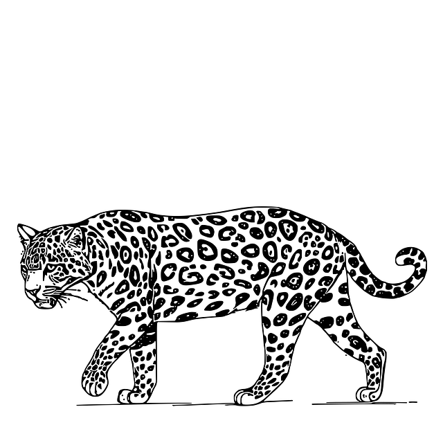 Free jaguar mammal animal vector