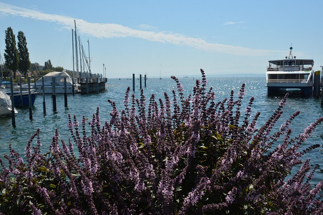 Free Port Lake Constance photo and picture