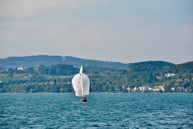 Free Sailboat Lake Constance photo and picture