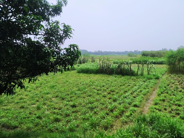 Spacious Field Sky Field Landscape - Free photo on Pixabay - Pixabay