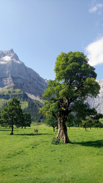 Free Austria Tyrol photo and picture