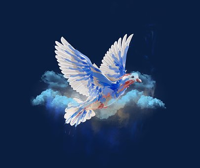 Free Bird Dove illustration and picture