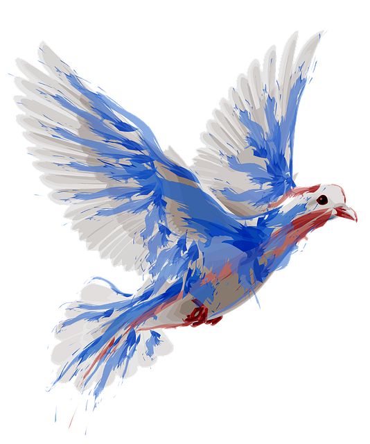Free Bird Dove illustration and picture